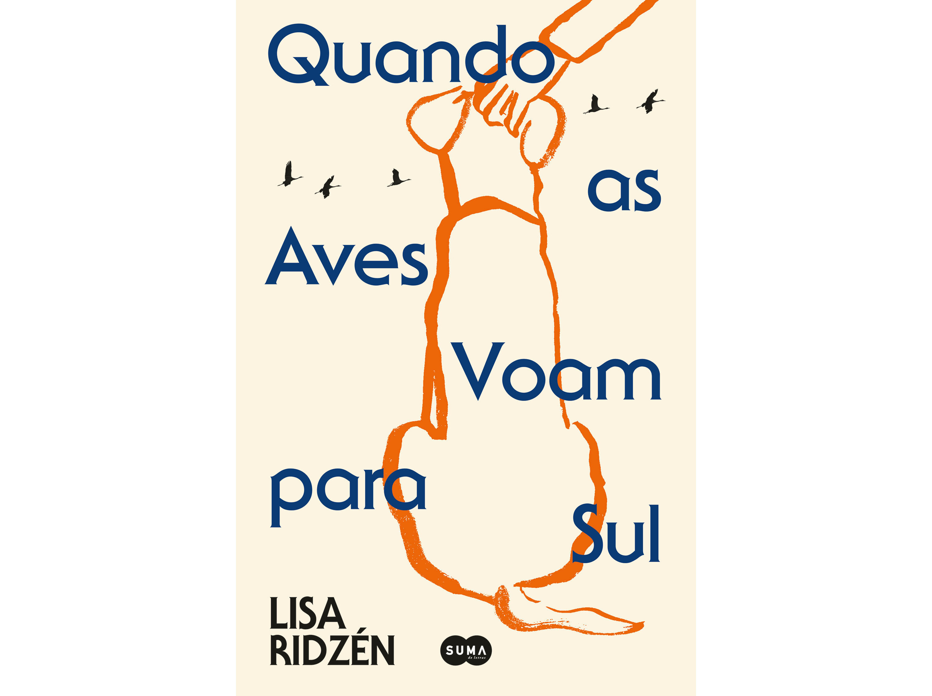 LIVRO QUANDO AS AVES VOAM PARA SUL DE LISA RIDZ&Eacute;N image number 0