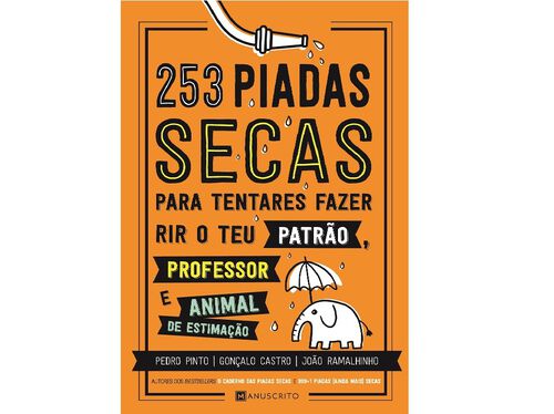 253 PIADAS SECAS PARA TENTARES FAZER RIR O TEU PATRÃO image number 1