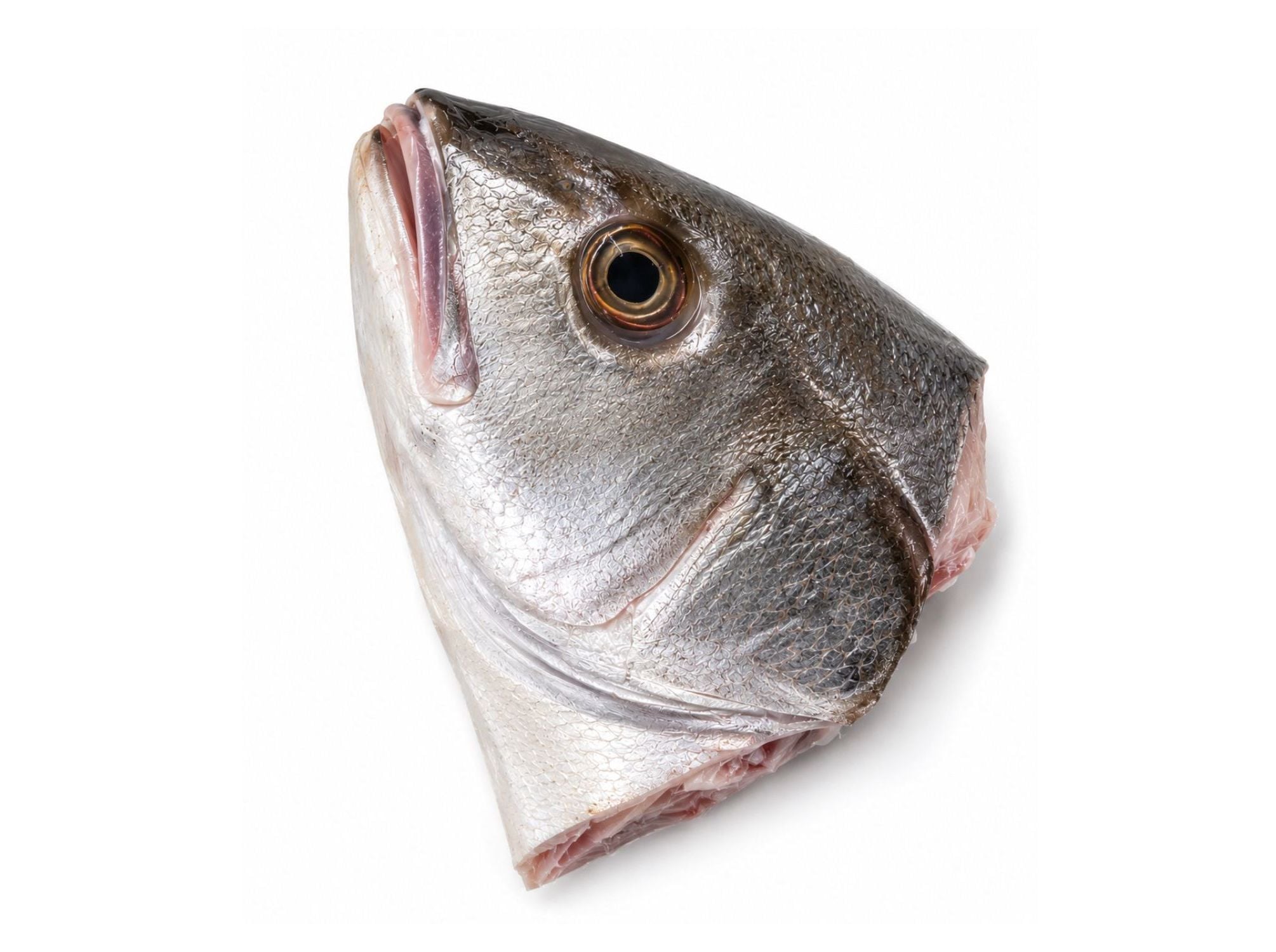 CORVINA CABE&Ccedil;A KG image number 0