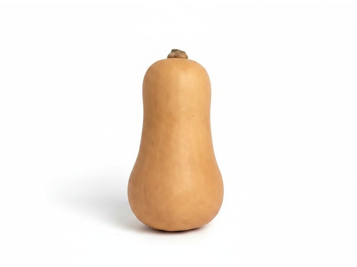 AB&Oacute;BORA BUTTERNUT BIO KG