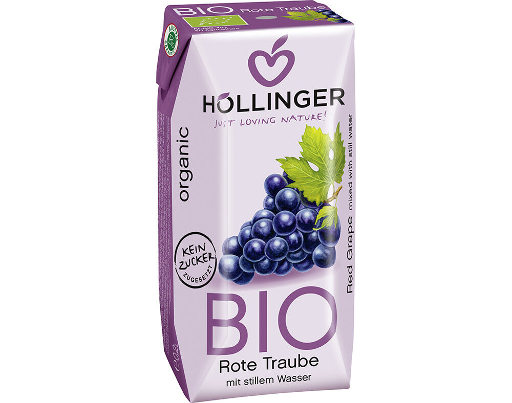 NECTAR HOLLINGER UVA PRETA 0.20L image number 0