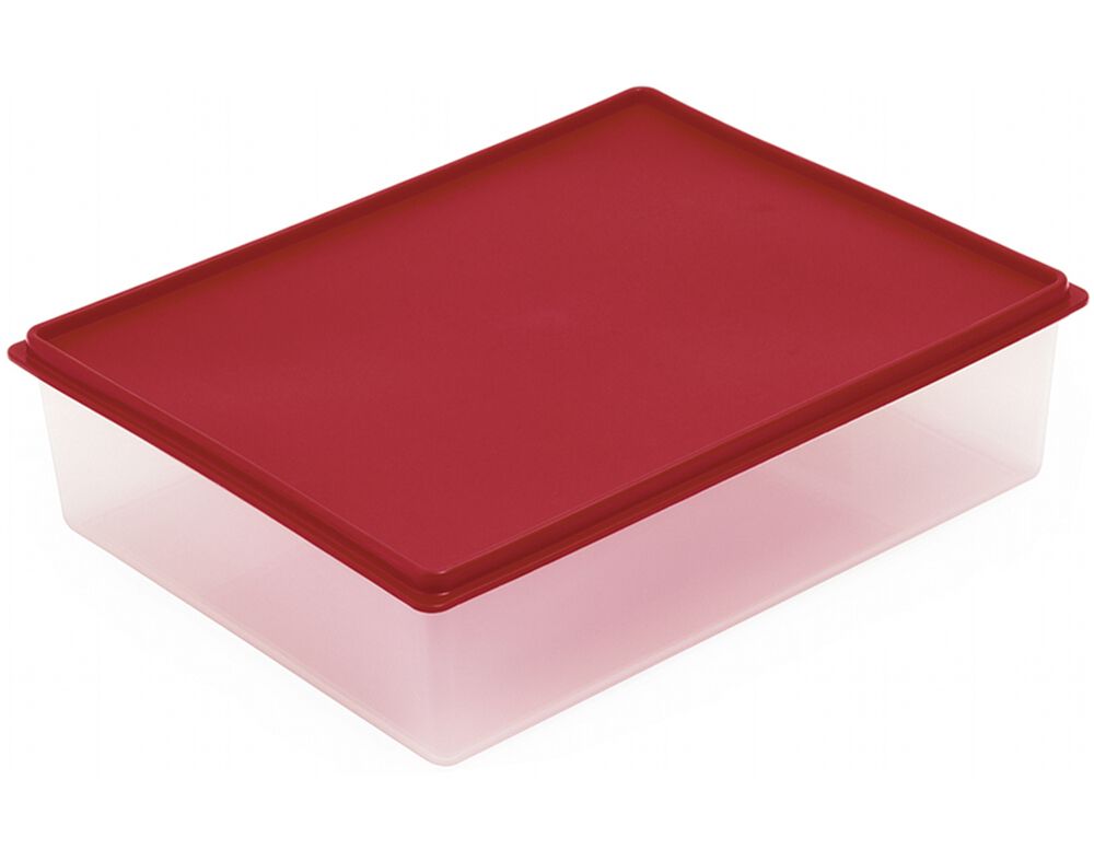 CAIXA HERM&Eacute;TICA RECTANGULAR CANASTA 5.8L image number 0