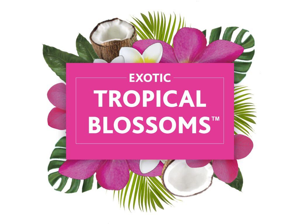 AMBIENTADOR EL&Eacute;CTRICO APARELHO GLADE TROPICAL 20ML image number 2