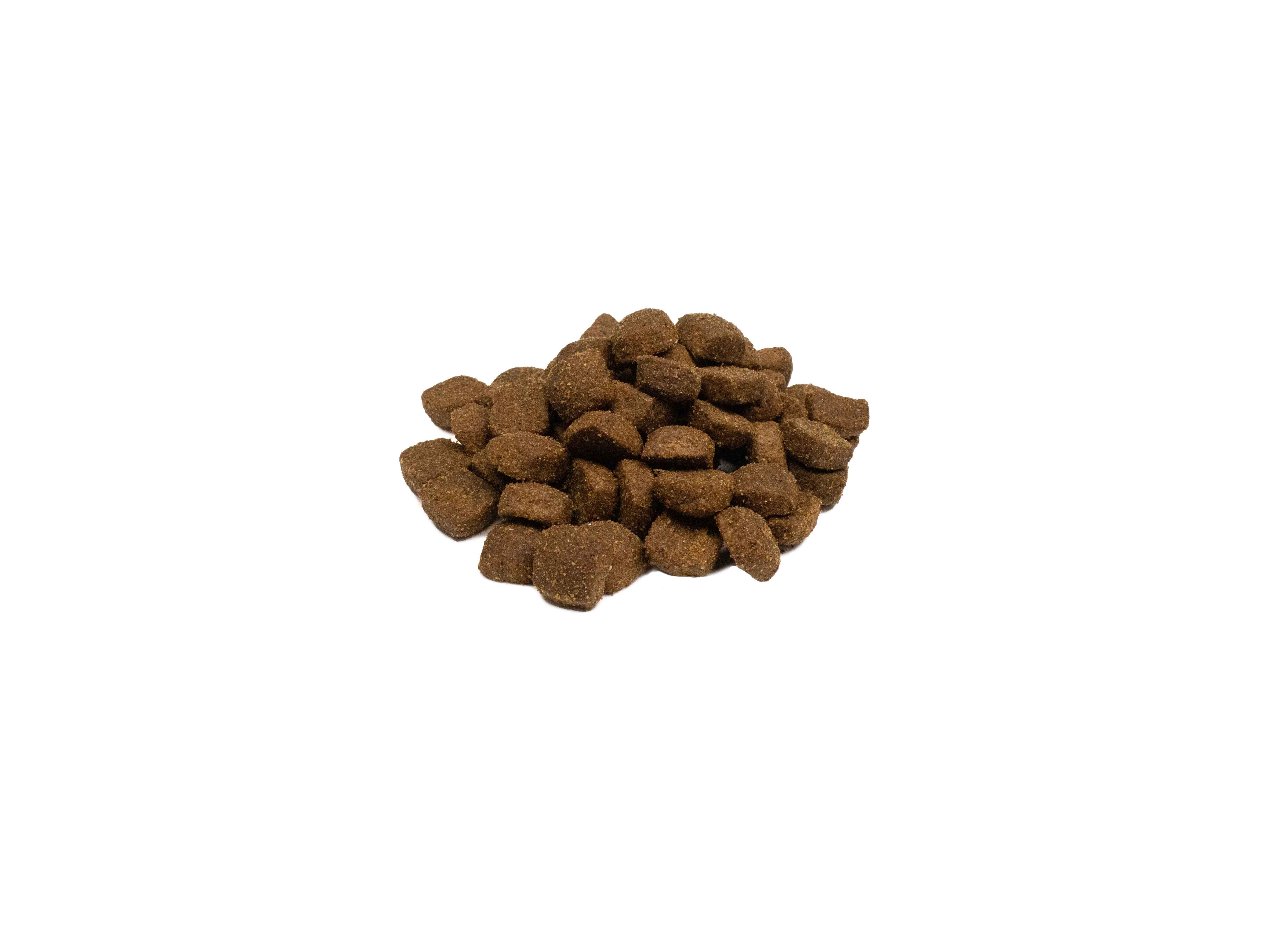 RA&Ccedil;&Atilde;O PARA C&Atilde;O WEEGO GRAIN FREE BORREGO 2KG image number 1