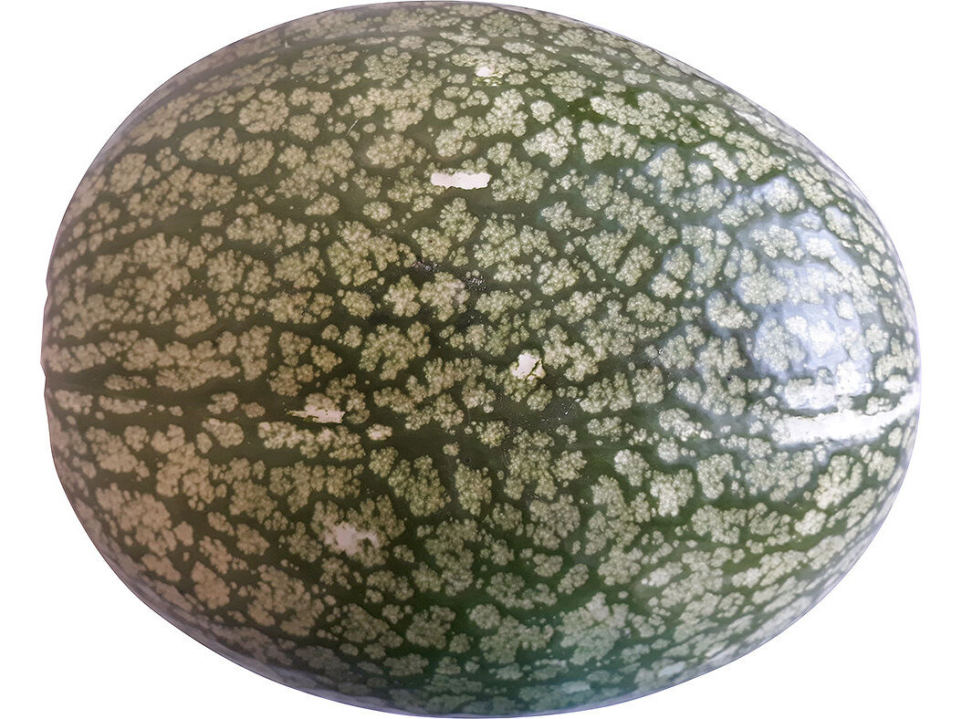 AB&Oacute;BORA GILA KG