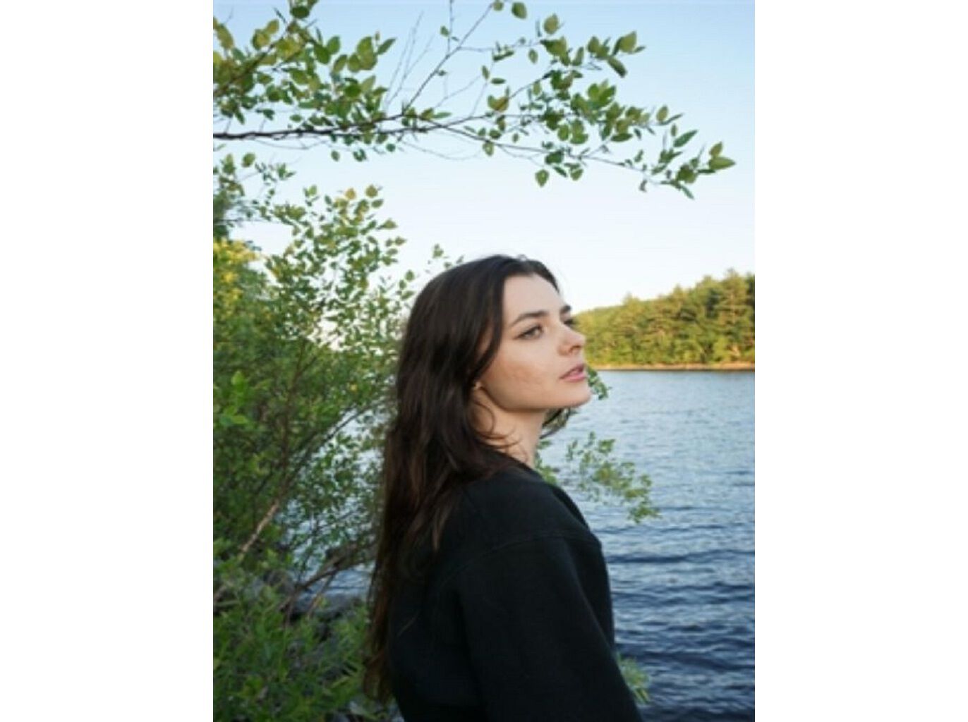 LIVRO O PODER CELESTIAL - GUIA ASTROL&Oacute;GICO PARA PLANEAR A SUA SEMANA image number 1