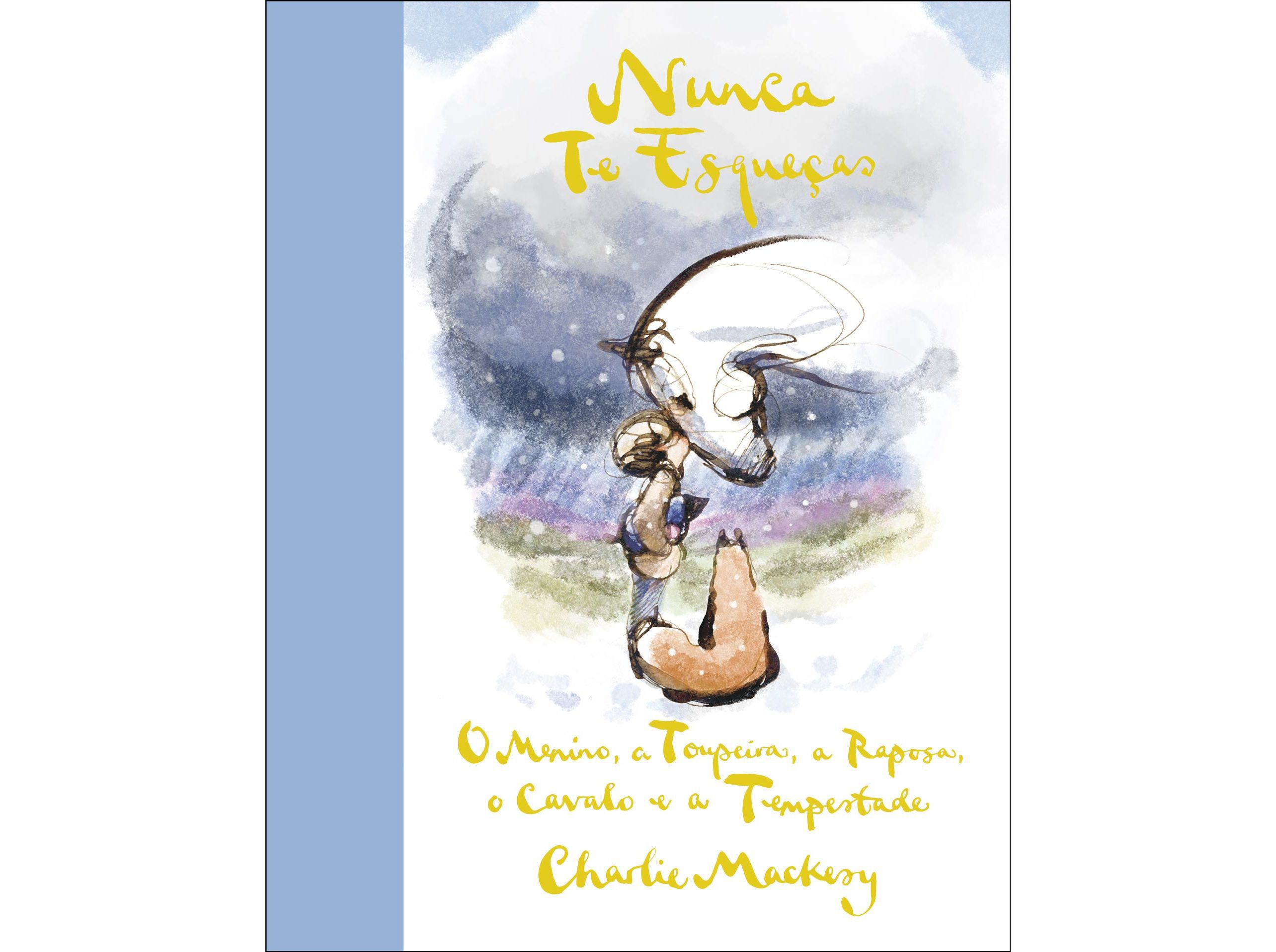 LIVRO NUNCA TE ESQUE&Ccedil;AS DE CHARLIE MACKESY image number 0