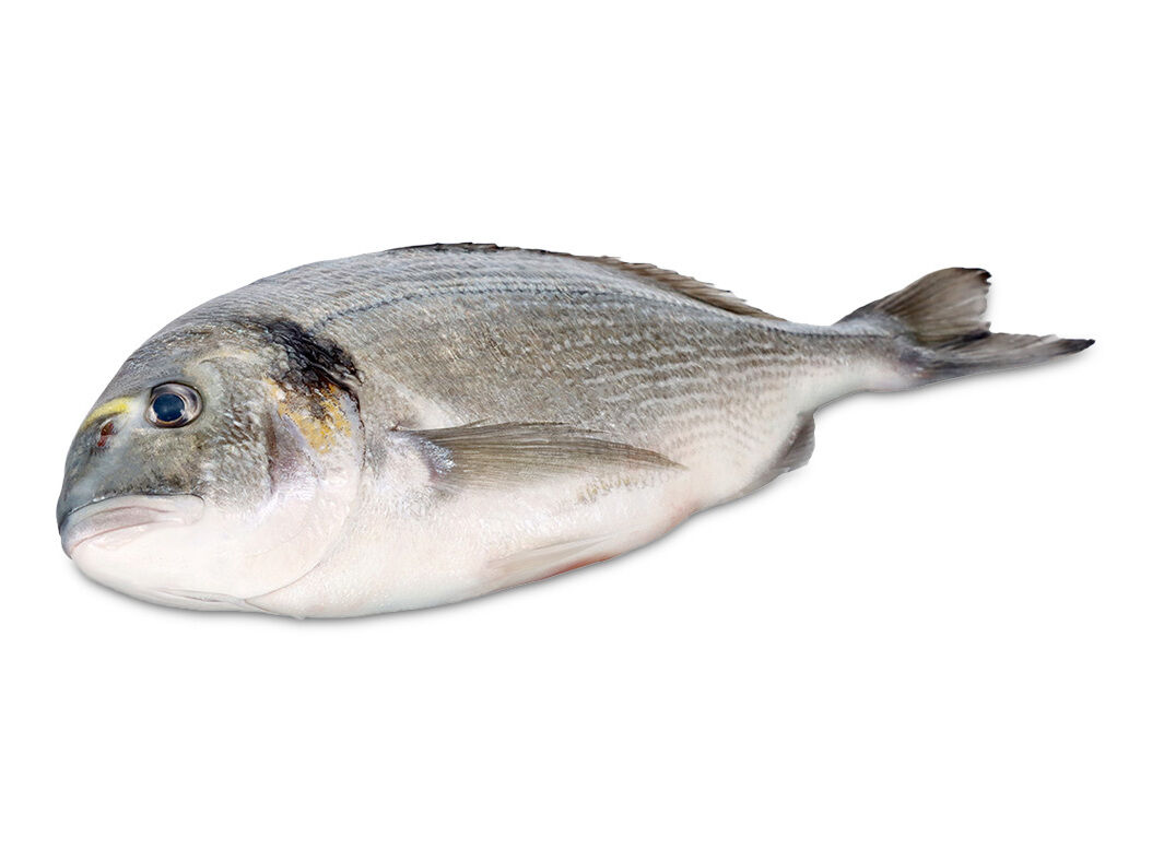 DOURADA RIA DE ALVOR AUCHAN CULTIVAMOS O BOM KG