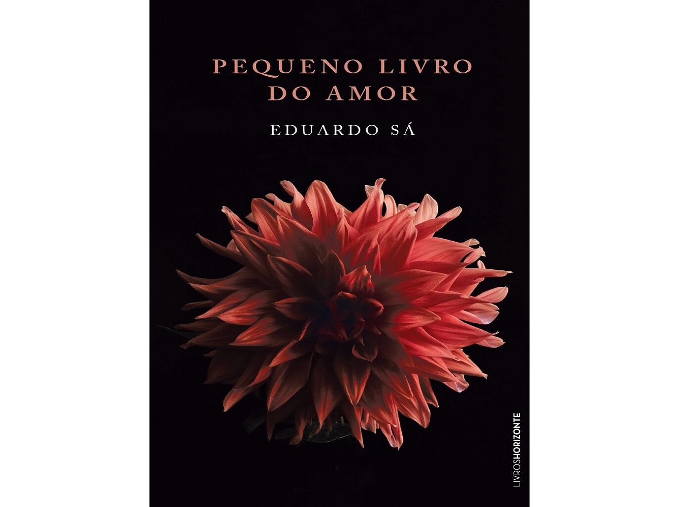 PEQUENO LIVRO DO AMOR image number 0