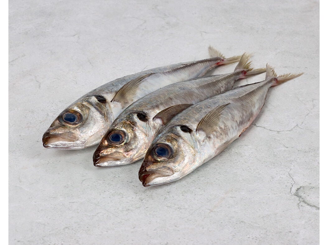 CARAPAU GRANDE KG image number 0