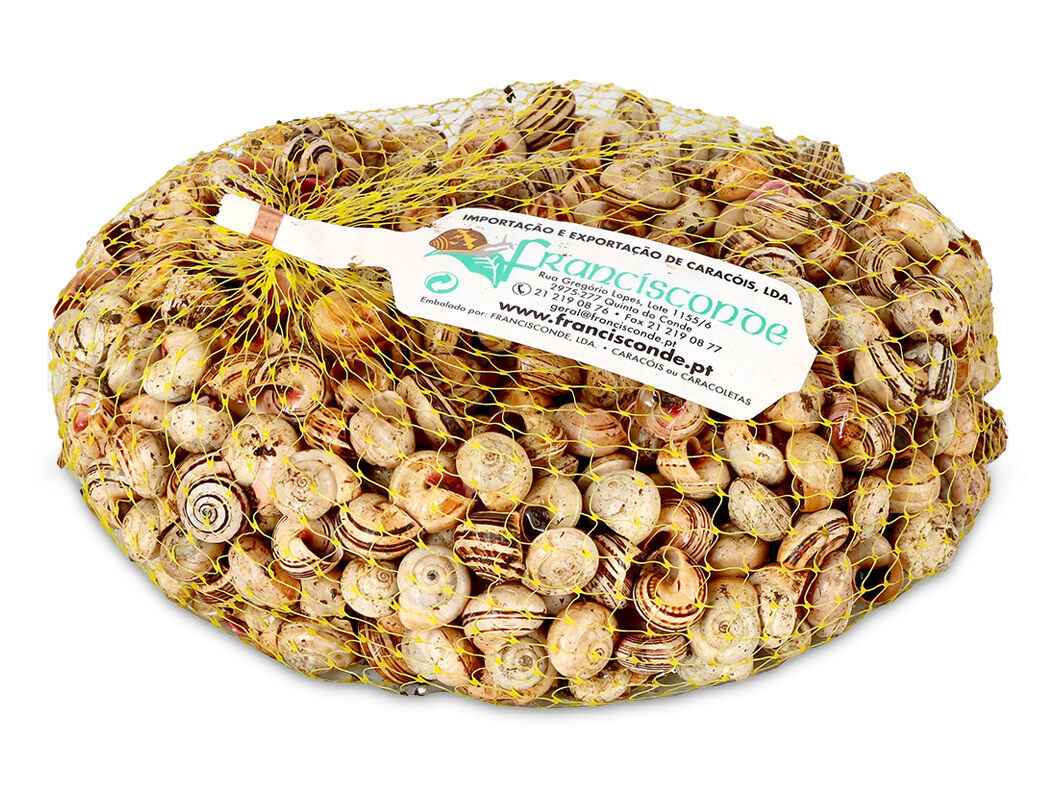 CARACOL 1 KG image number 0