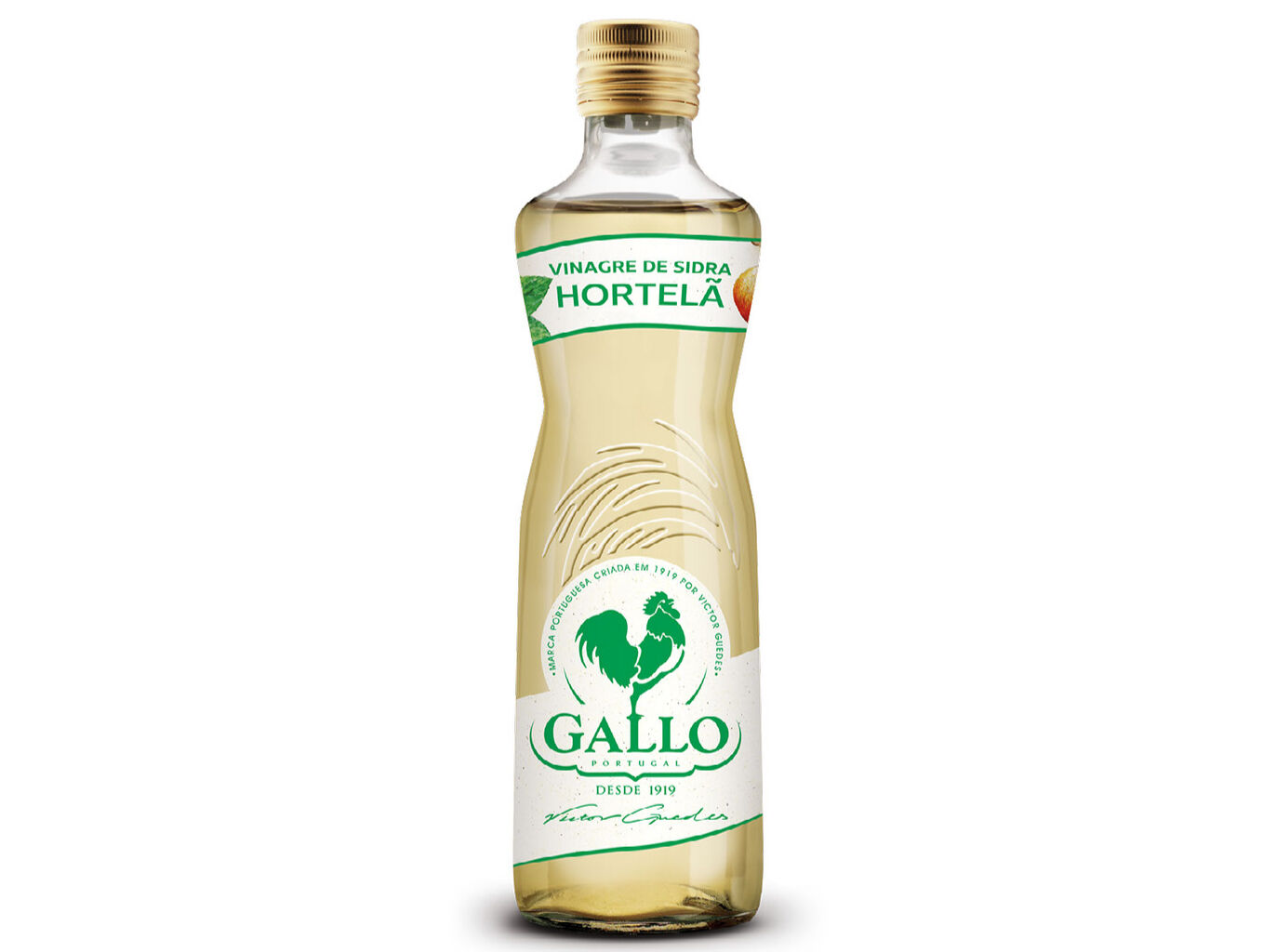 VINAGRE GALLO DE SIDRA HORTEL&Atilde; 250ML image number 0