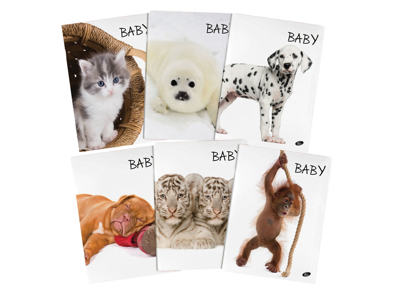 CADERNO A4 PAUTADO BABY PREMIUM 48 FOLHAS 80G AGRAFADO MODELOS SORTIDOS image number 1