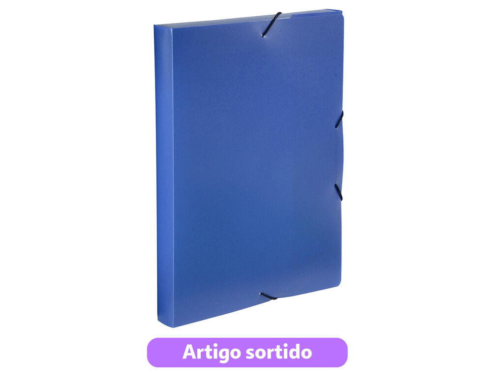 CAPA COM EL&Aacute;STICOS A4 E ABAS VIQUEL OPACA LOMBADA 3CM CORES SORTIDAS image number 2