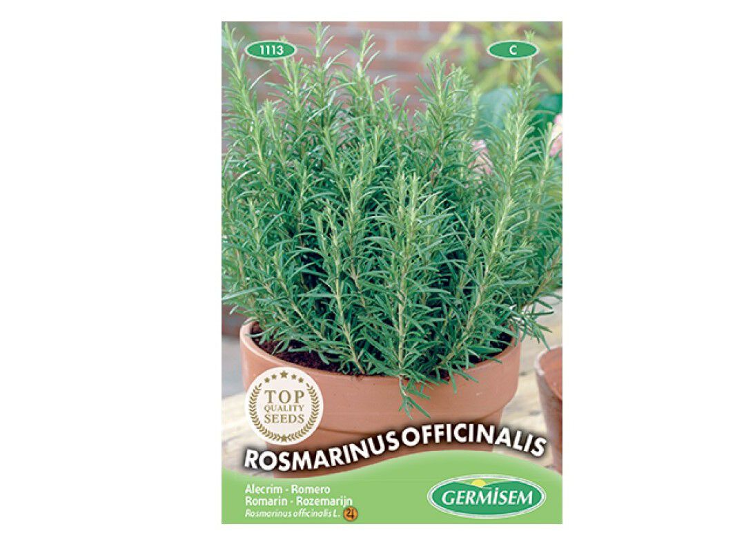 SEMENTES SOMELITE ALECRIM image number 1