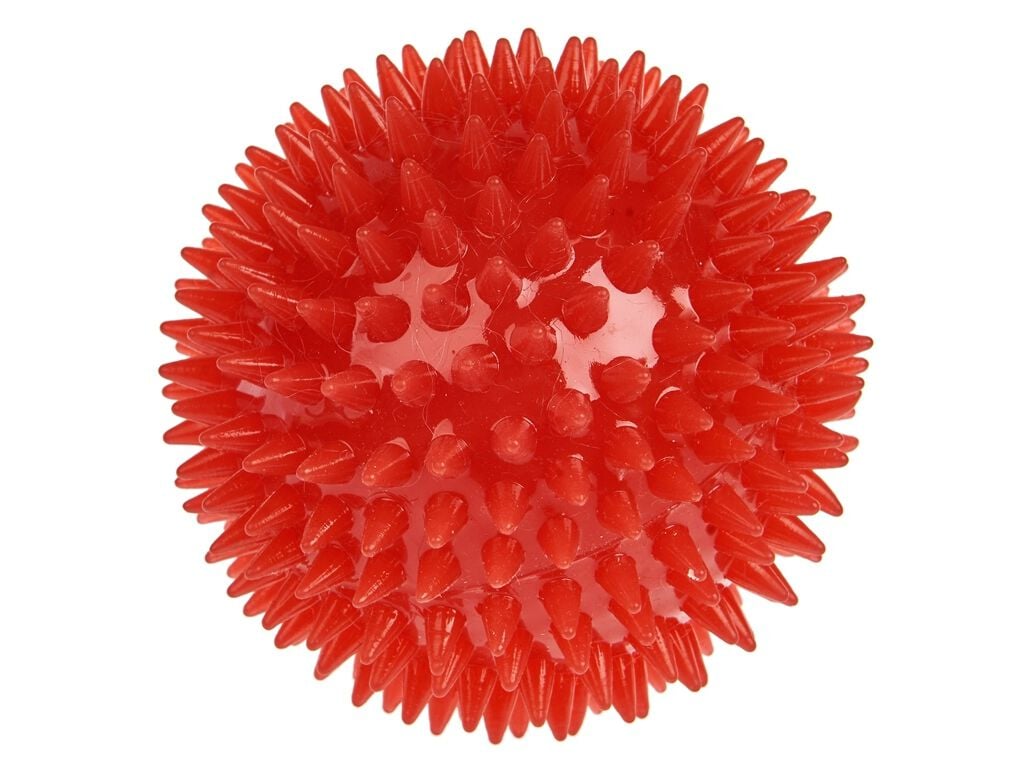 BOLA DENTAL AUCHAN DIAM 8CM image number 1