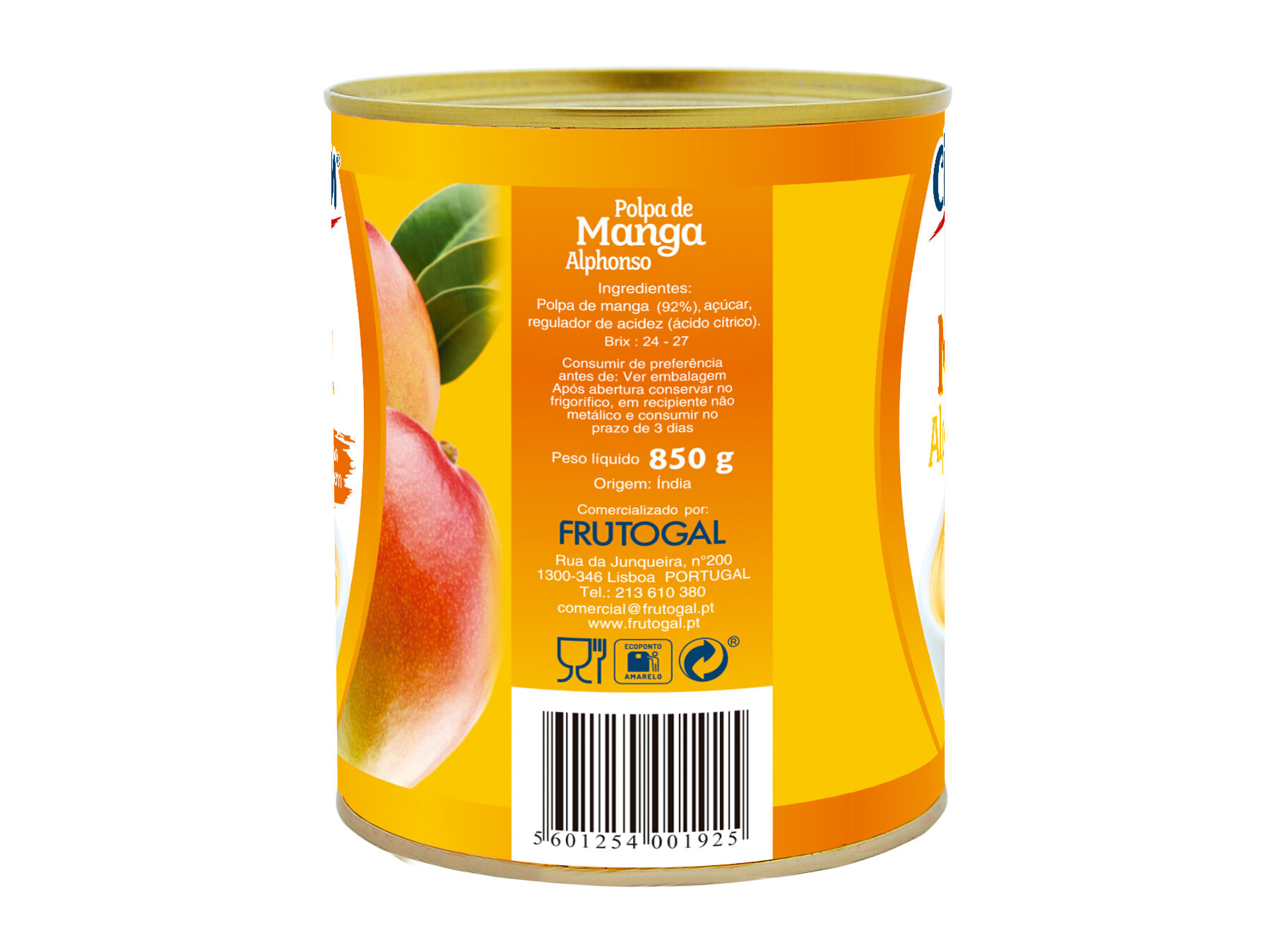 POLPA CIMARROM DE MANGA 850G image number 1