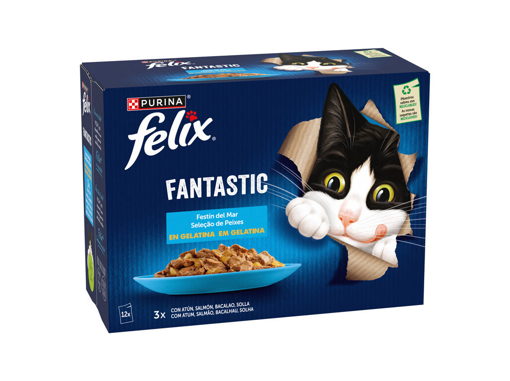 COMIDA H&Uacute;MIDA PARA GATO FELIX FANTASTIC PEIXE 12X85G image number 1