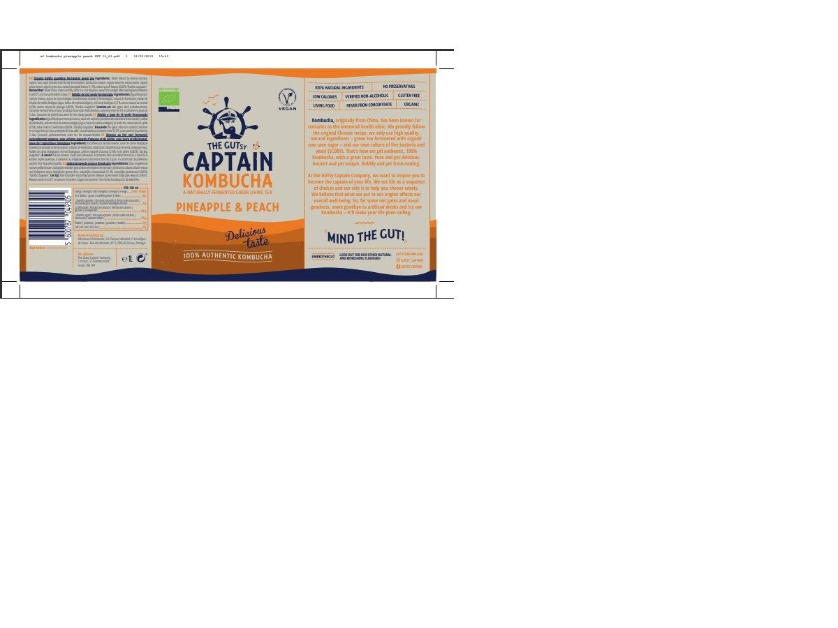 KOMBUCHA THE GUTSY CAPTAIN ANAN&Aacute;S BIO 1 L image number 1