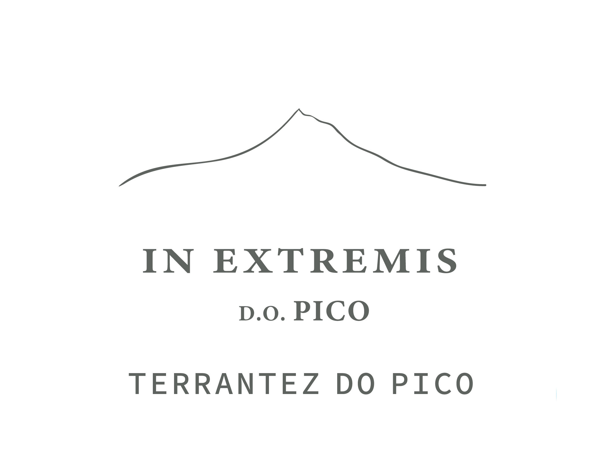 VINHO BRANCO IN EXTREMIS TERRANTEZ A&Ccedil;ORES 0.75L image number 1