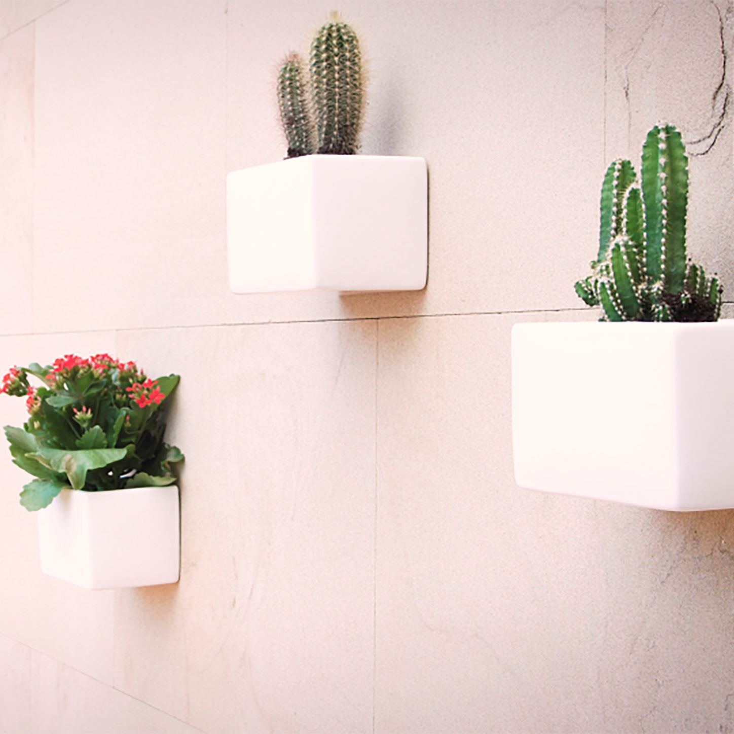 N&Atilde;O+PREGOS TACK PATTEX CRISTAL 216 GR image number 2