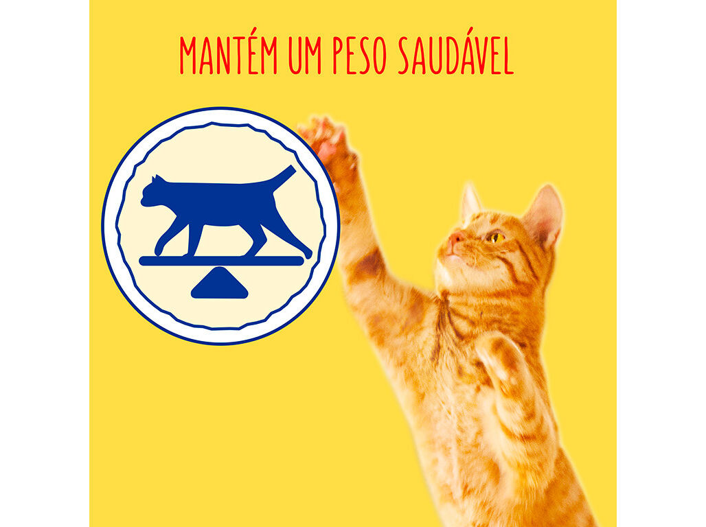 RA&Ccedil;&Atilde;O PARA GATO FRISKIES ESTERILIZADO COM SALM&Atilde;O 1.5KG image number 3