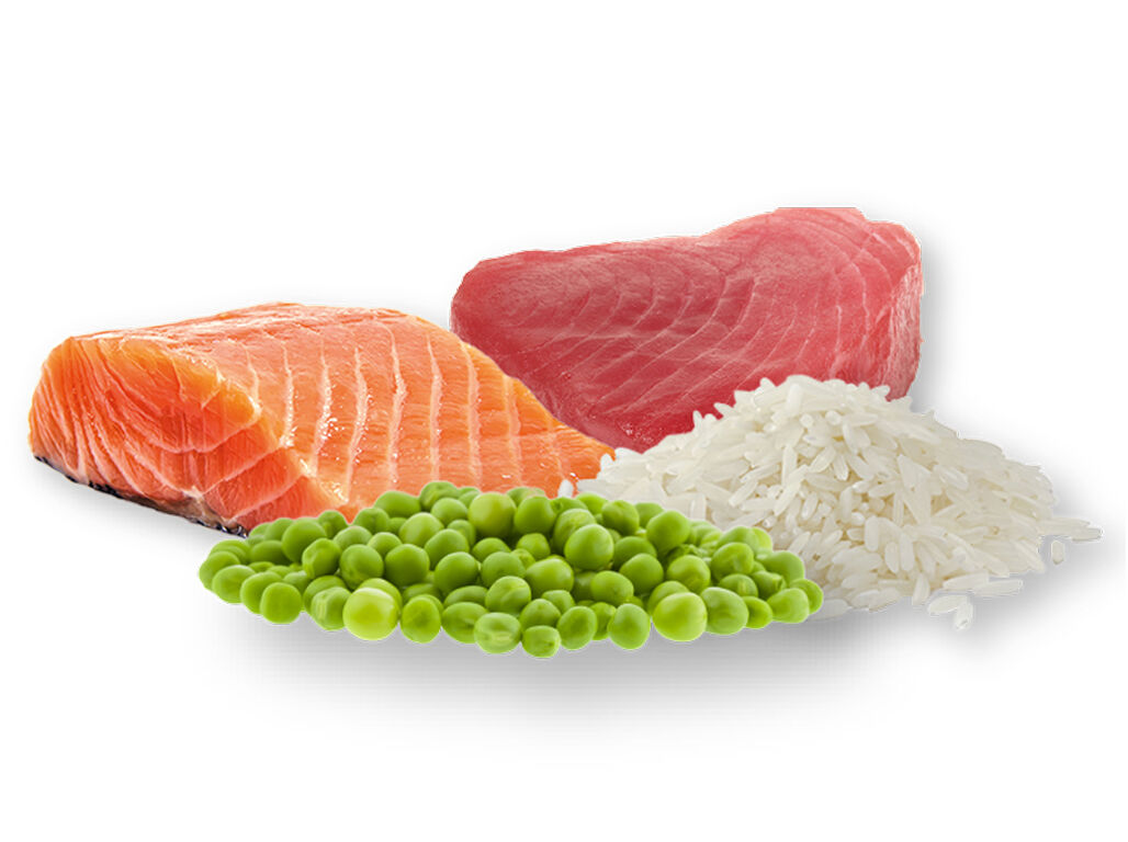 SNACK C&Atilde;O PETFIELD SALM&Atilde;O E ATUM 100G image number 1