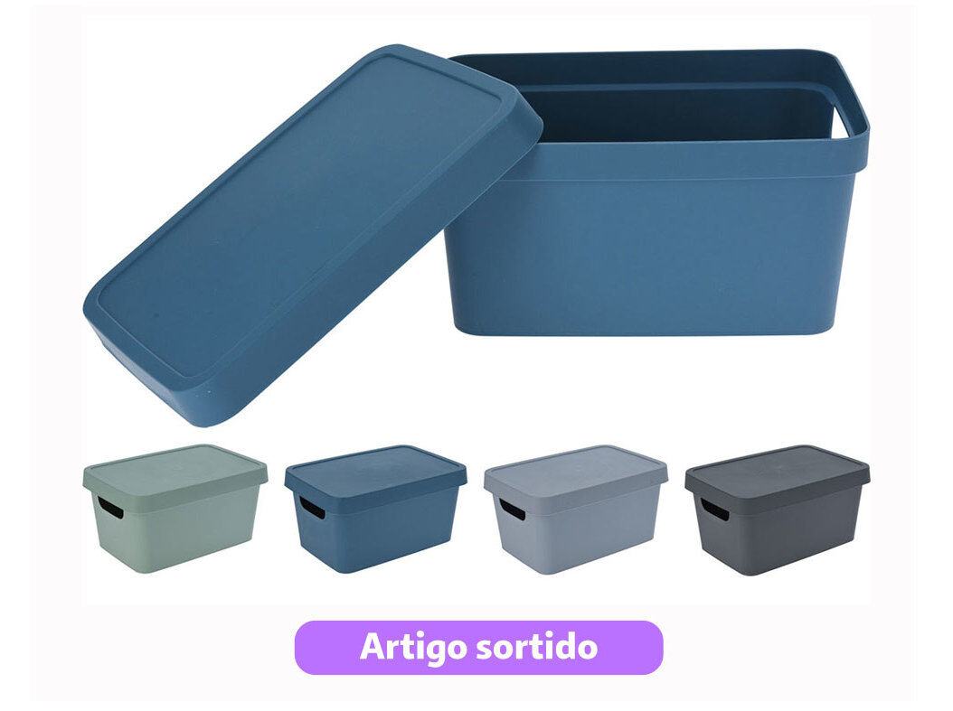 CAIXA PARA ARRUMA&Ccedil;&Atilde;O COM TAMPA 24.5X16.5X12CM CORES SORTIDAS image number 0