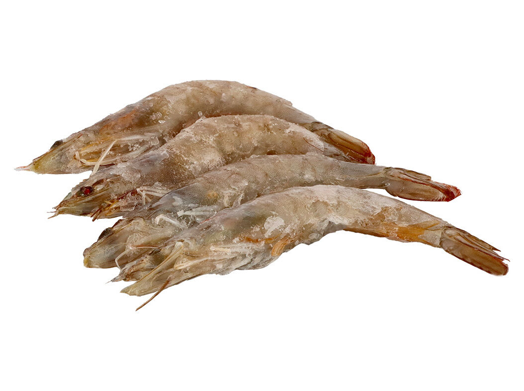 CAMAR&Atilde;O VANNAMEI 40/60 CRU CONGELADO KG