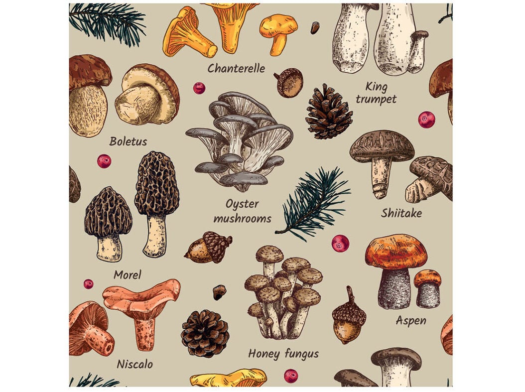 GUARDANAPO ACTUEL 3 FOLHAS COGUMELOS 33X33CM image number 0