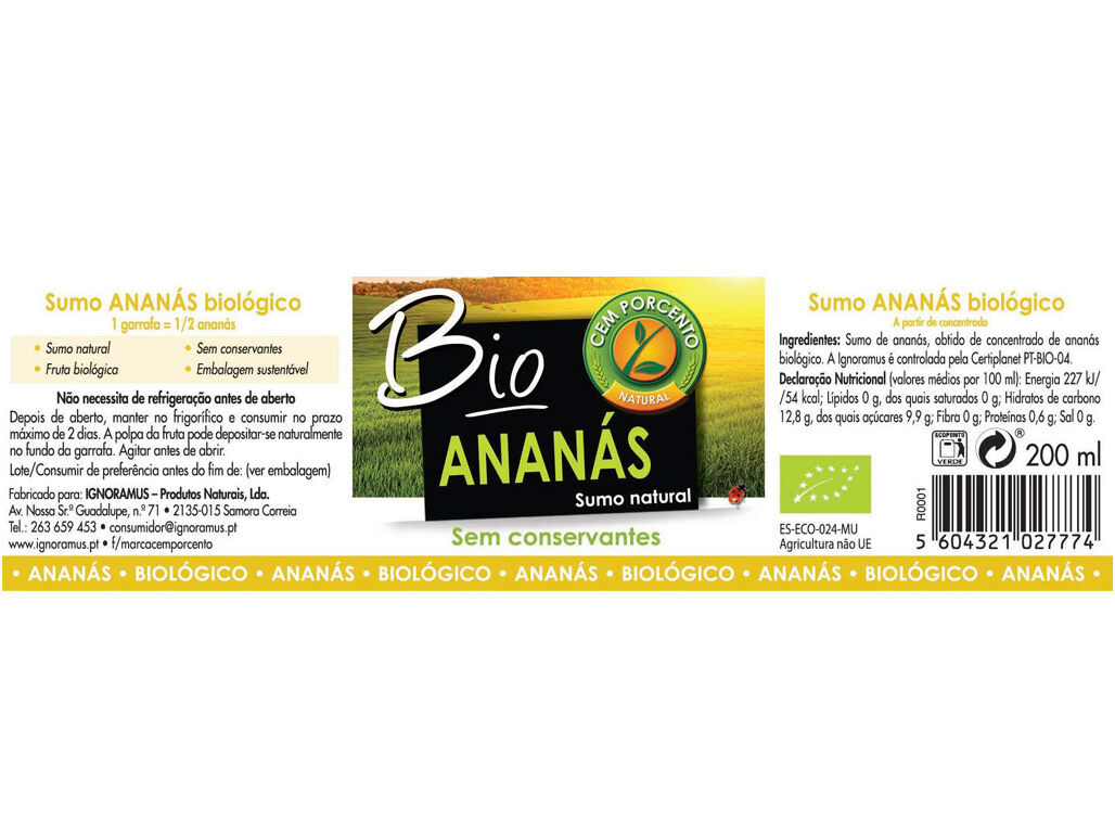 SUMO CEM PORCENTO DE ANAN&Aacute;S NATURAL BIOL&Oacute;GICO 200ML image number 1