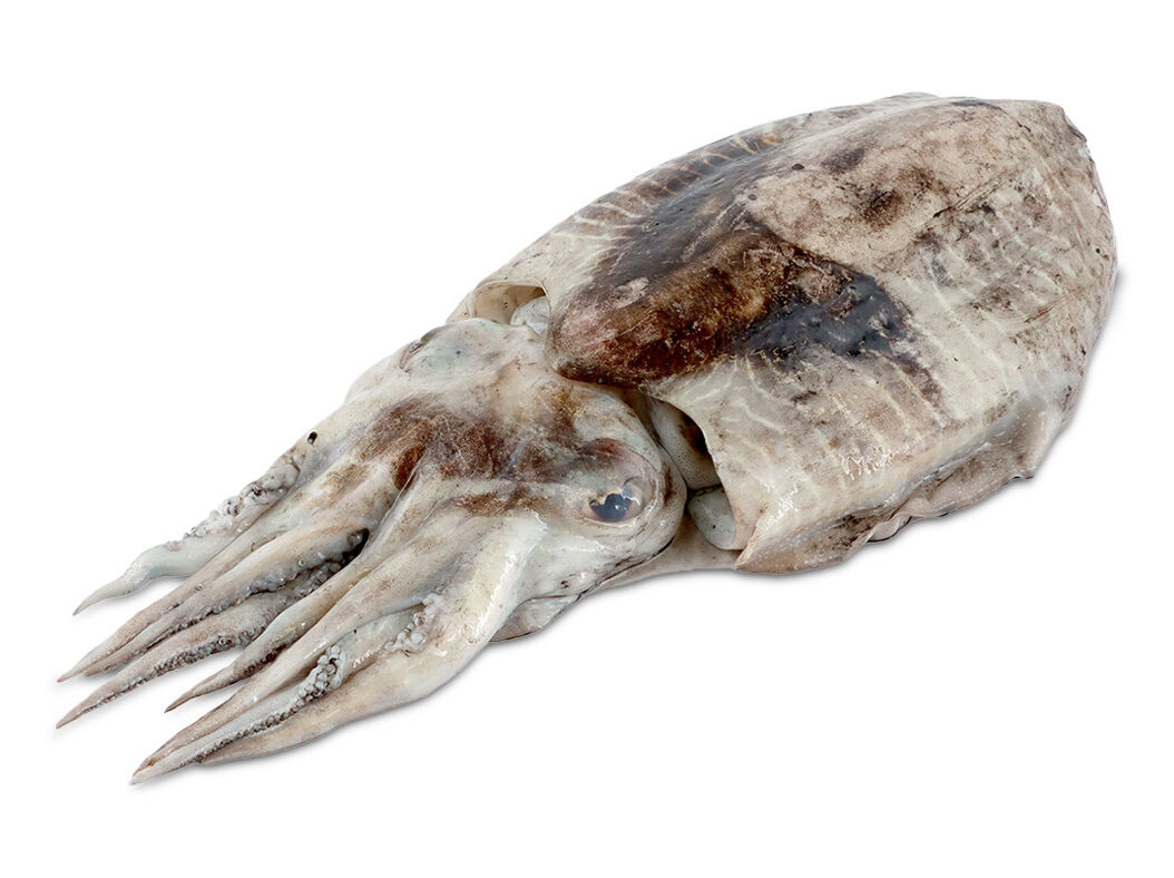 CHOCO GRANDE KG image number 0