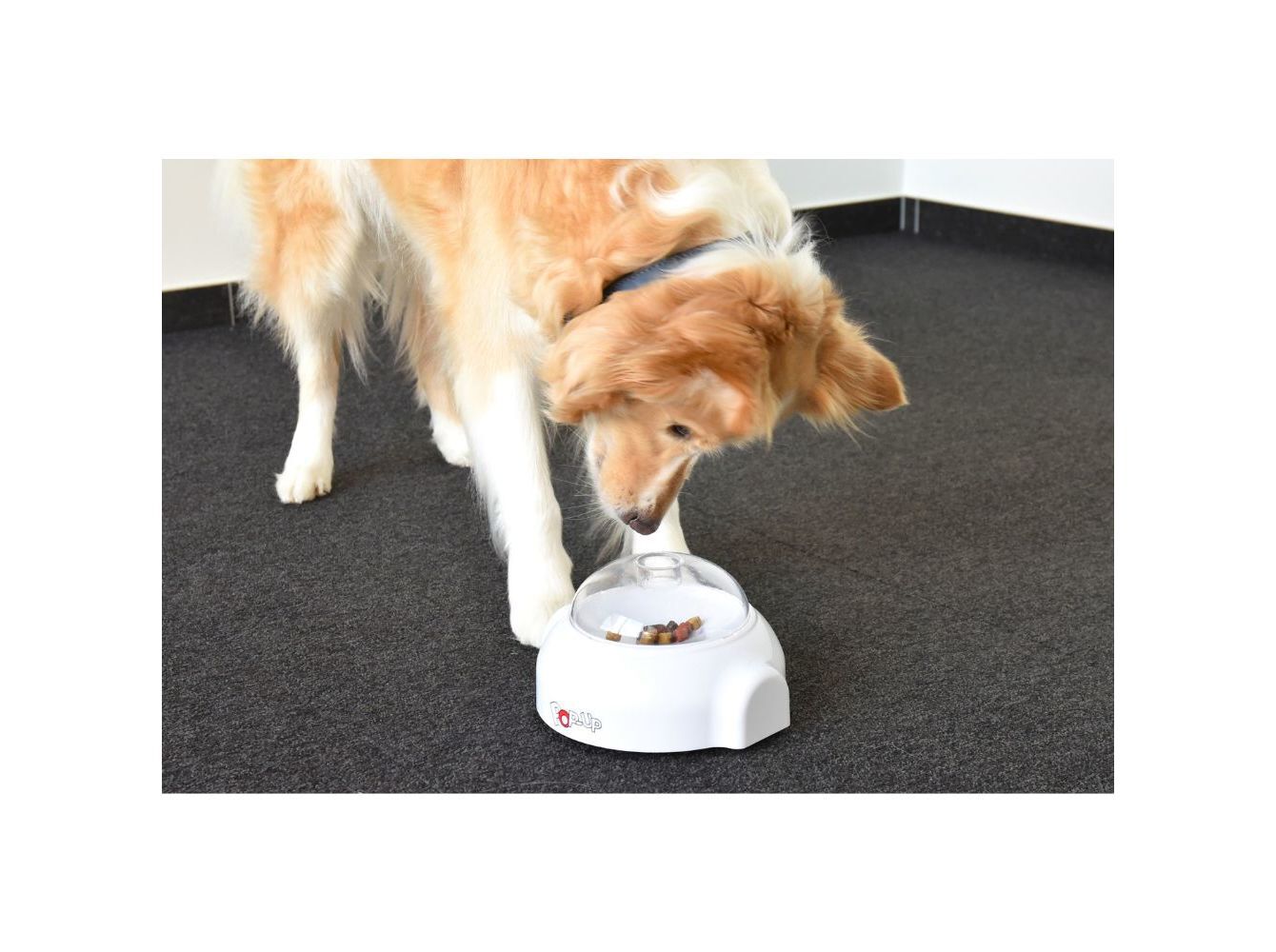 BRINQUEDO PARA C&Atilde;O FLAMINGO POPPY BRANCO image number 3