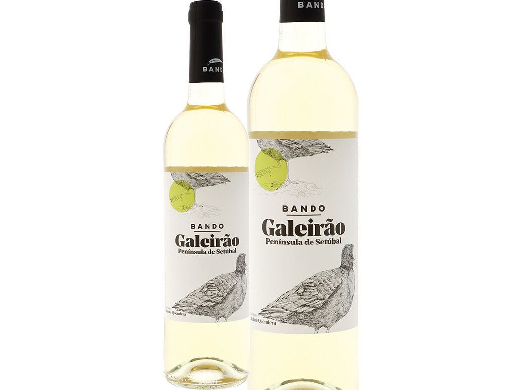VINHO BRANCO BANDO GALEIR&Atilde;O REGIONAL SET&Uacute;BAL 0.75L