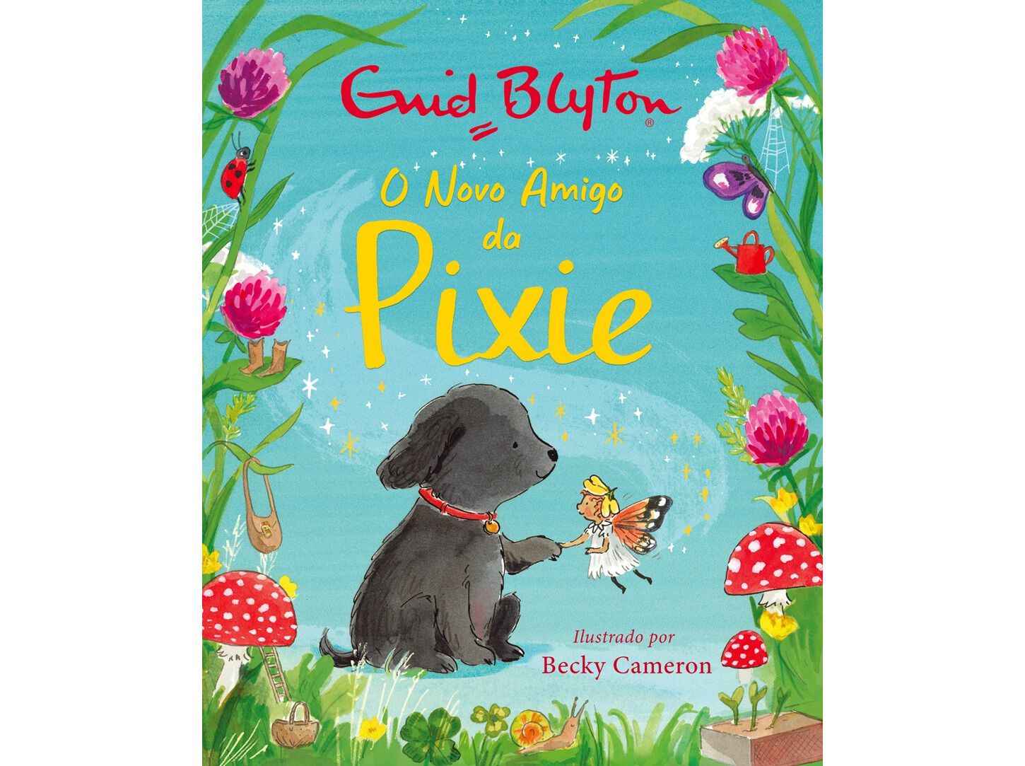 LIVRO O NOVO AMIGO DA PIXIE DE ENID BLYTON image number 0