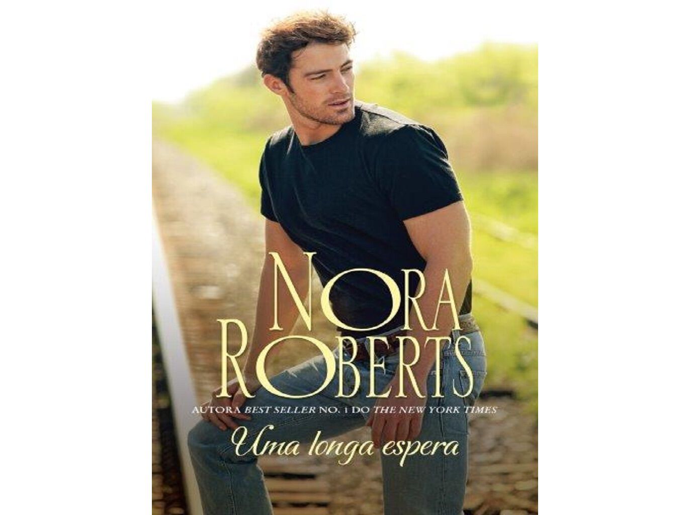 LIVRO UMA LONGA ESPERA DE NORA ROBERTS image number 0