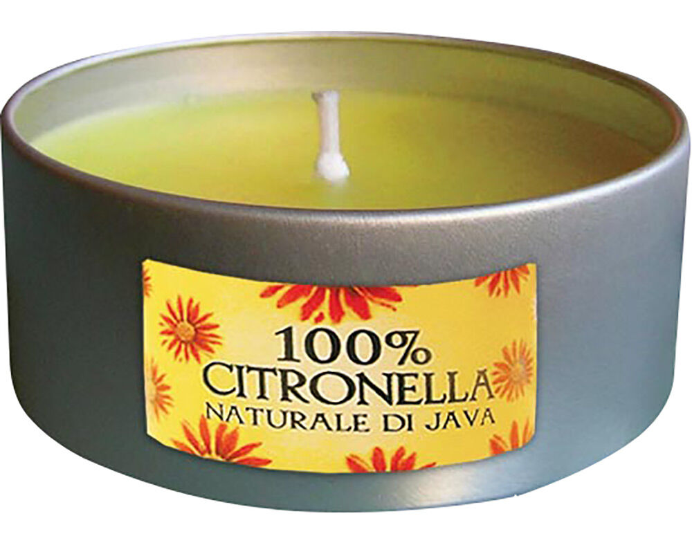 LATA CITRONELA +- 8 HORAS