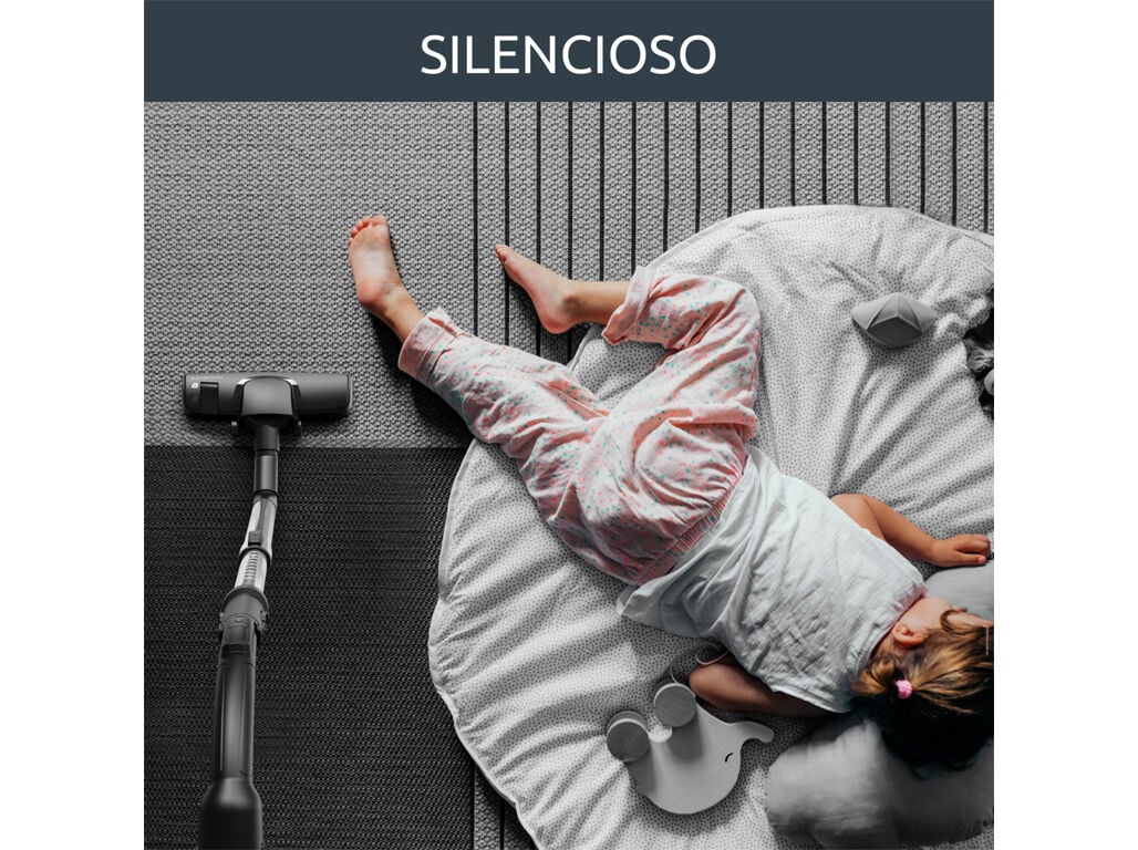 ASPIRADOR COM SACO ROWENTA RO6164EA GREEN FORCE MAX SILENCE CAR KIT - 4.5L/900W image number 3