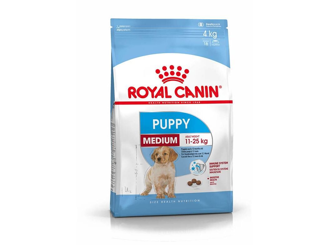 RA&Ccedil;&Atilde;O C&Atilde;O ROYAL CANIN JUNIOR M&Eacute;DIO 4 KG image number 0