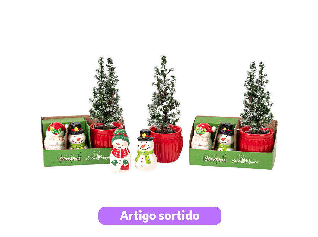 PINHEIRINHO NATAL OFERTA DE SALEIRO E PIMENTEIRO VASO 6 MODELOS SORTIDOS