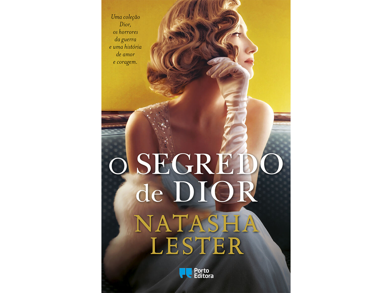 LIVRO O SEGREDO DE DIOR DE NATASHA LESTER image number 1