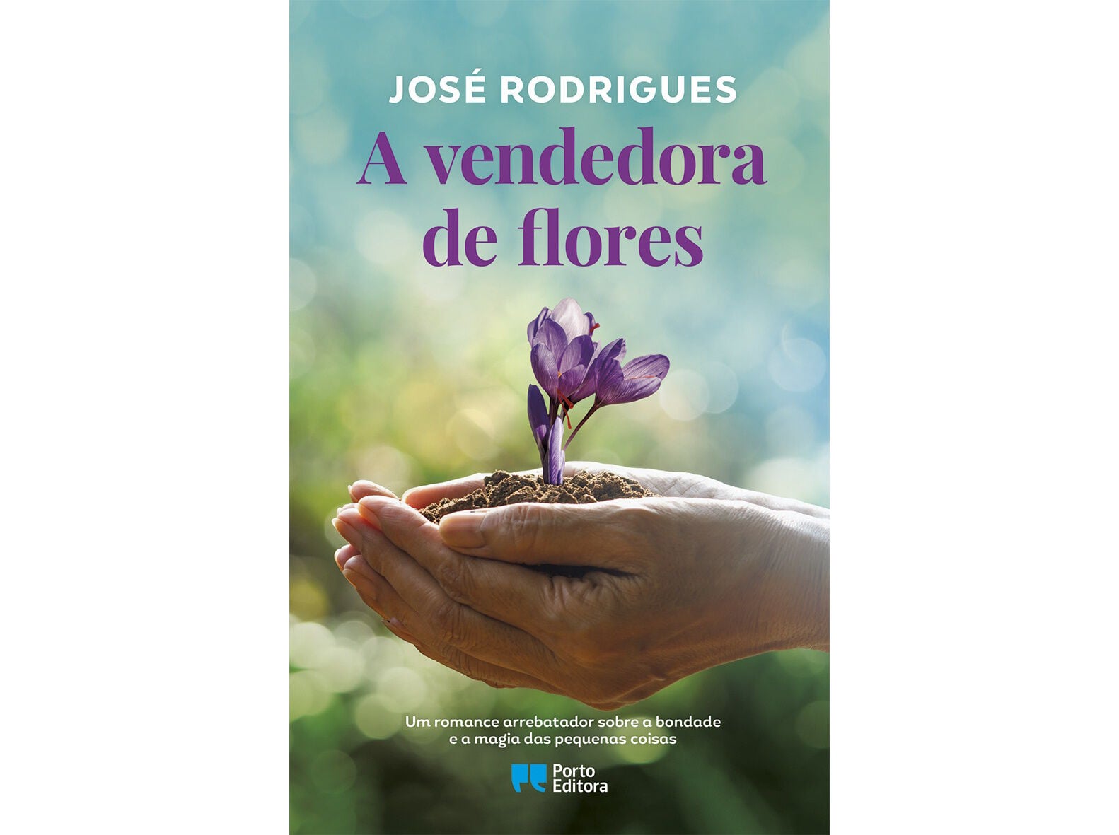 LIVRO A VENDEDORA DE FLORES DE JOS&Eacute; RODRIGUES image number 1