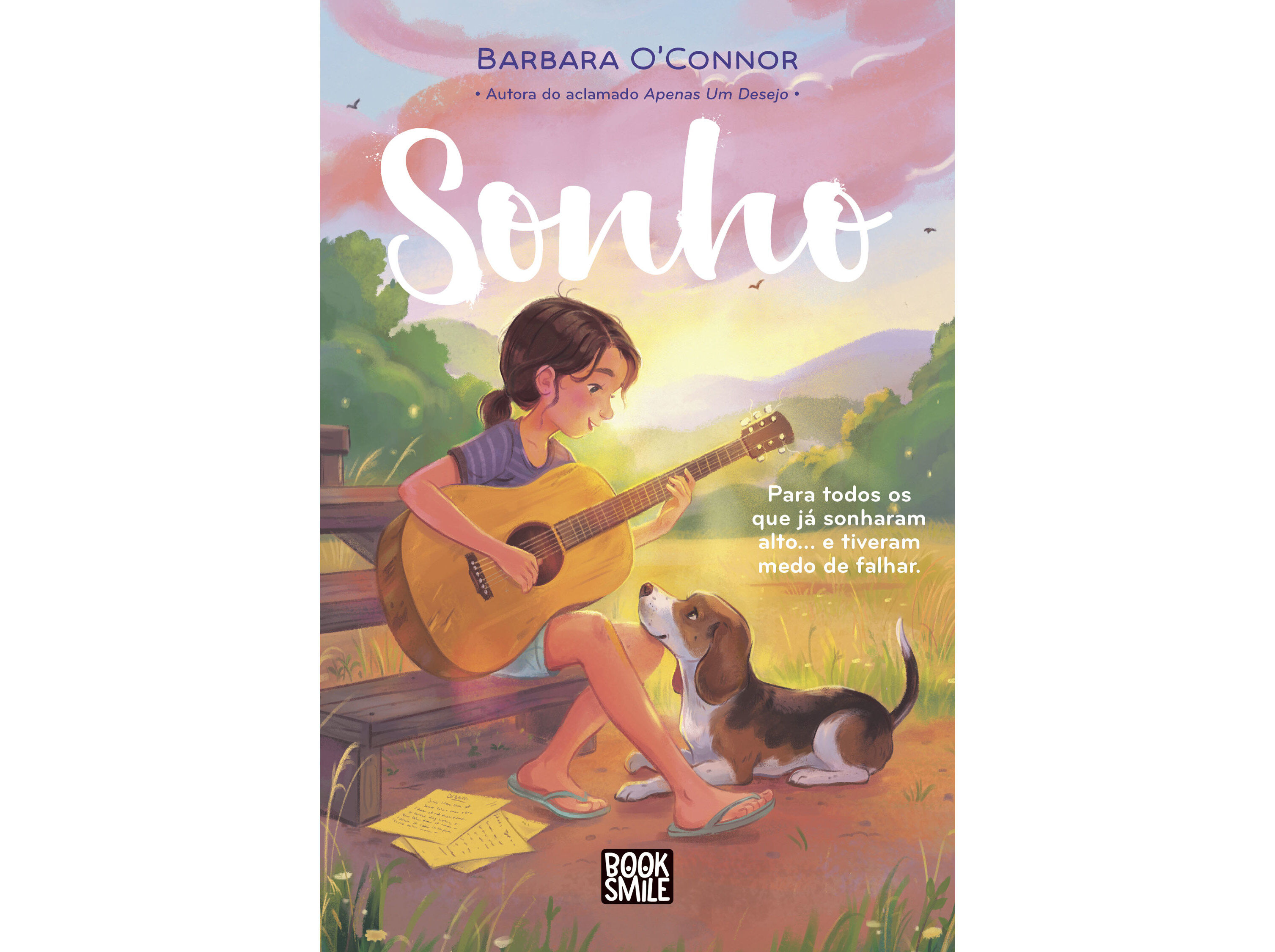 LIVRO SONHO DE BARBARA O'CONNOR image number 0