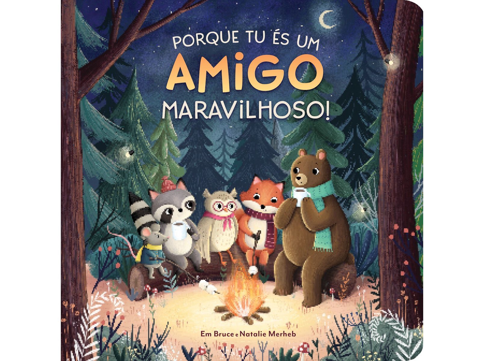 LIVRO PORQUE TU &Eacute;S UM AMIGO MARAVILHOSO DE EM BRUCE image number 0