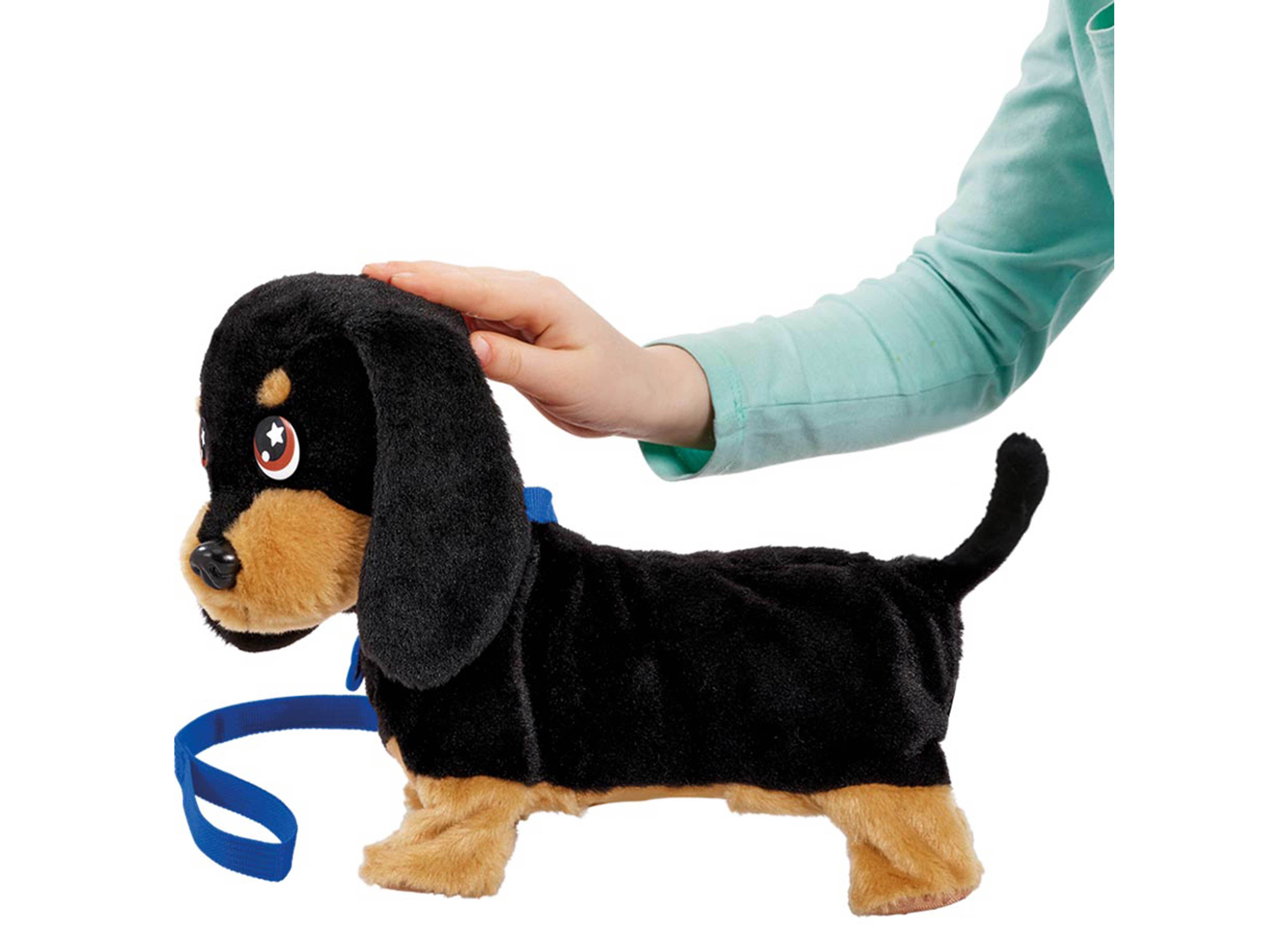 CACHORRINHO WAGGLES ANIMAGIC image number 6