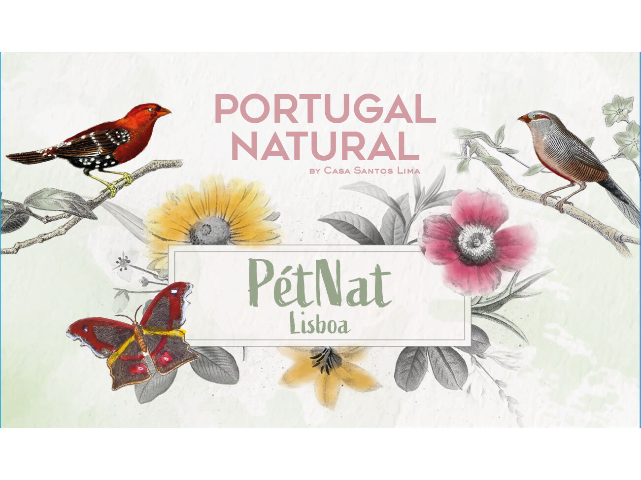 ESPUMANTE PORTUGAL NATURAL PET-NAT ROS&Eacute; LISBOA 0.75L image number 1