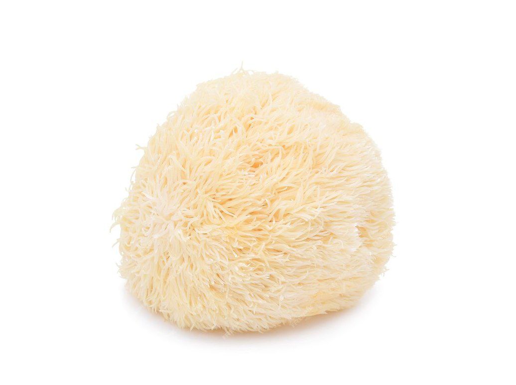 COGUMELOS JUBA DE LE&Atilde;O (L) NAM 250G image number 0