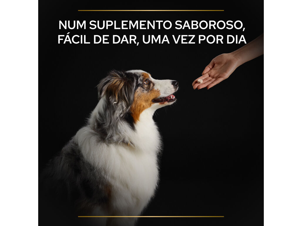 SUPLEMENTO PARA C&Atilde;O PRO PLAN NATURAL DEFENCES 67G image number 2