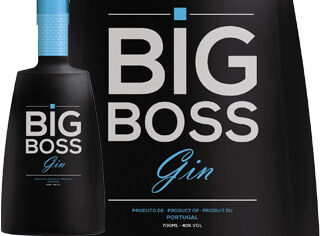 GIN BIG BOSS 0.70L image number 0