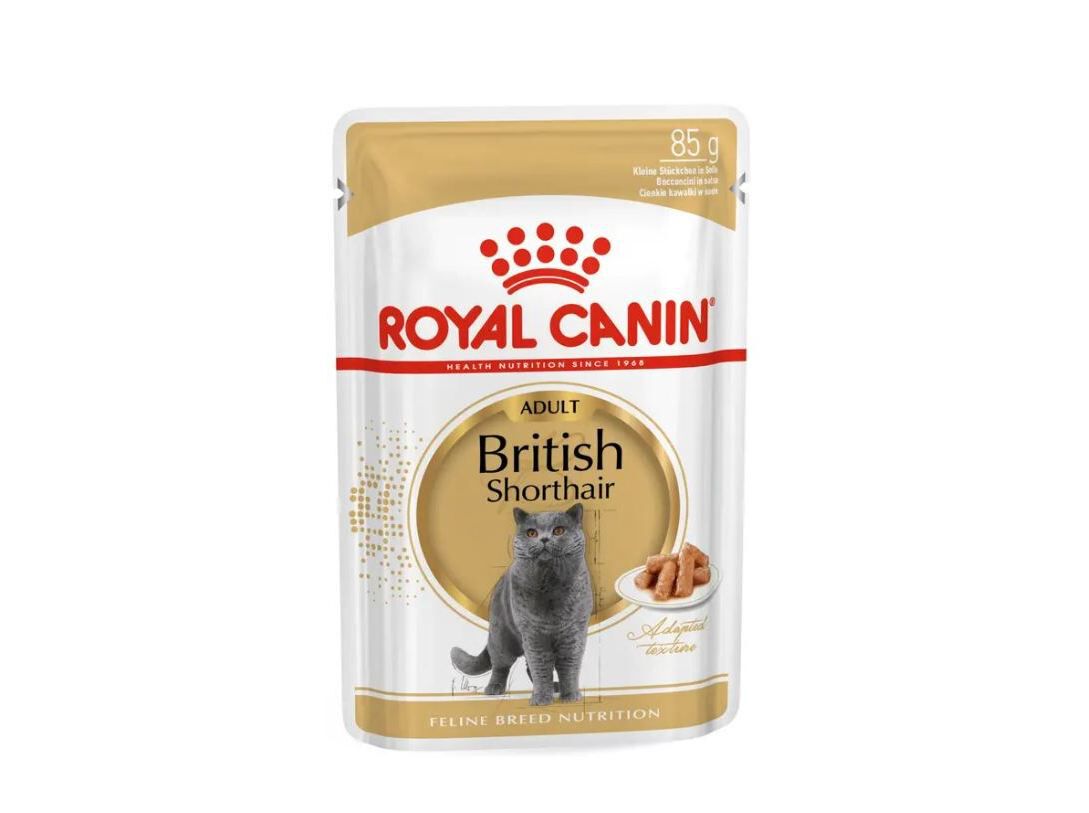 COMIDA H&Uacute;MIDA GATO ROYAL CANIN :BRITISH SHORTHAIR 85G 2641036 image number 0